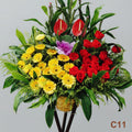 開張花籃C11