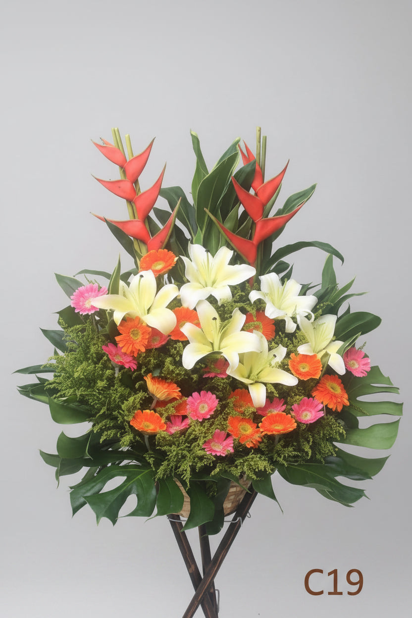 開張花籃 C19