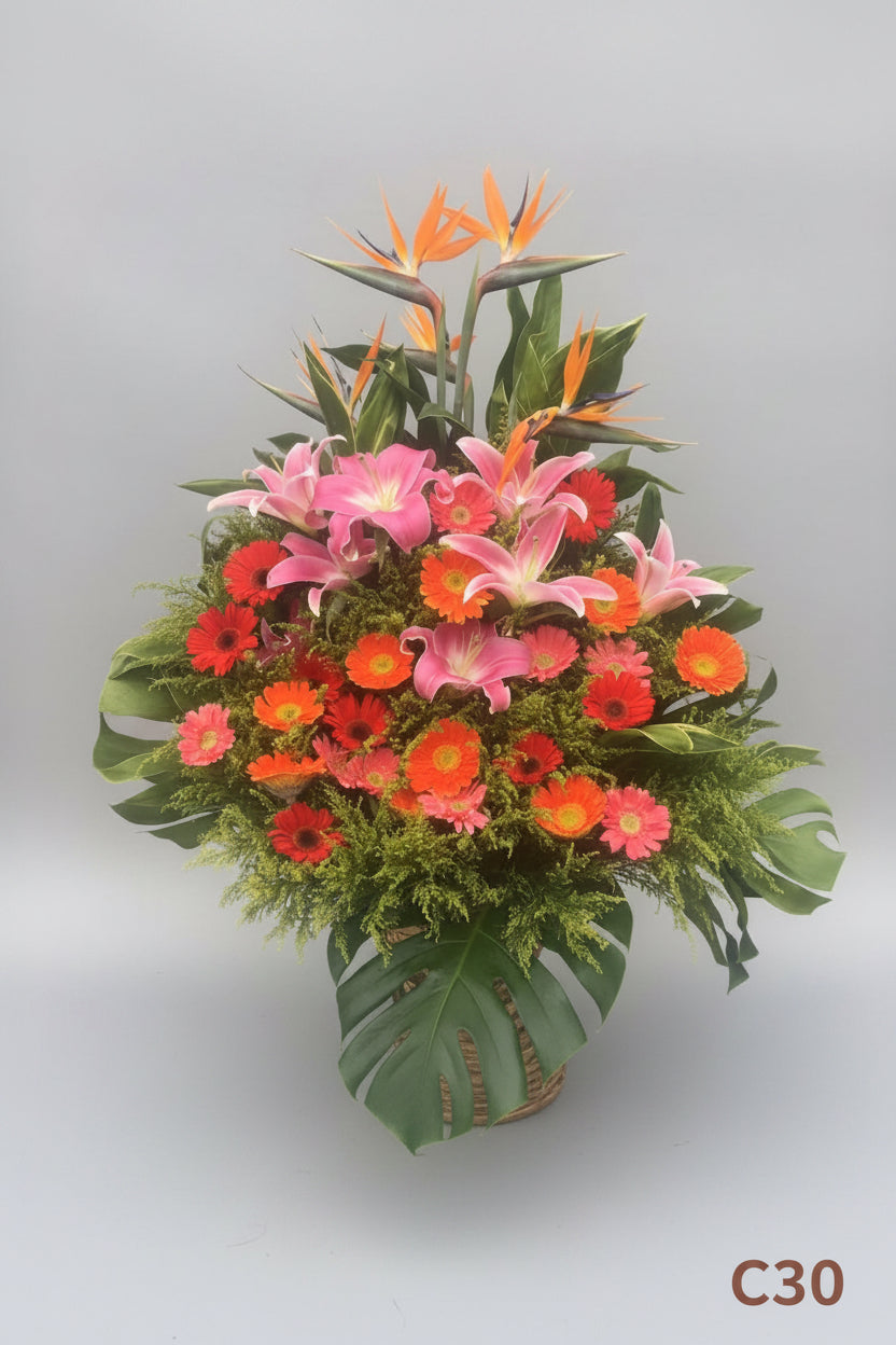 開張花籃 C30