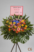開張花籃 C6