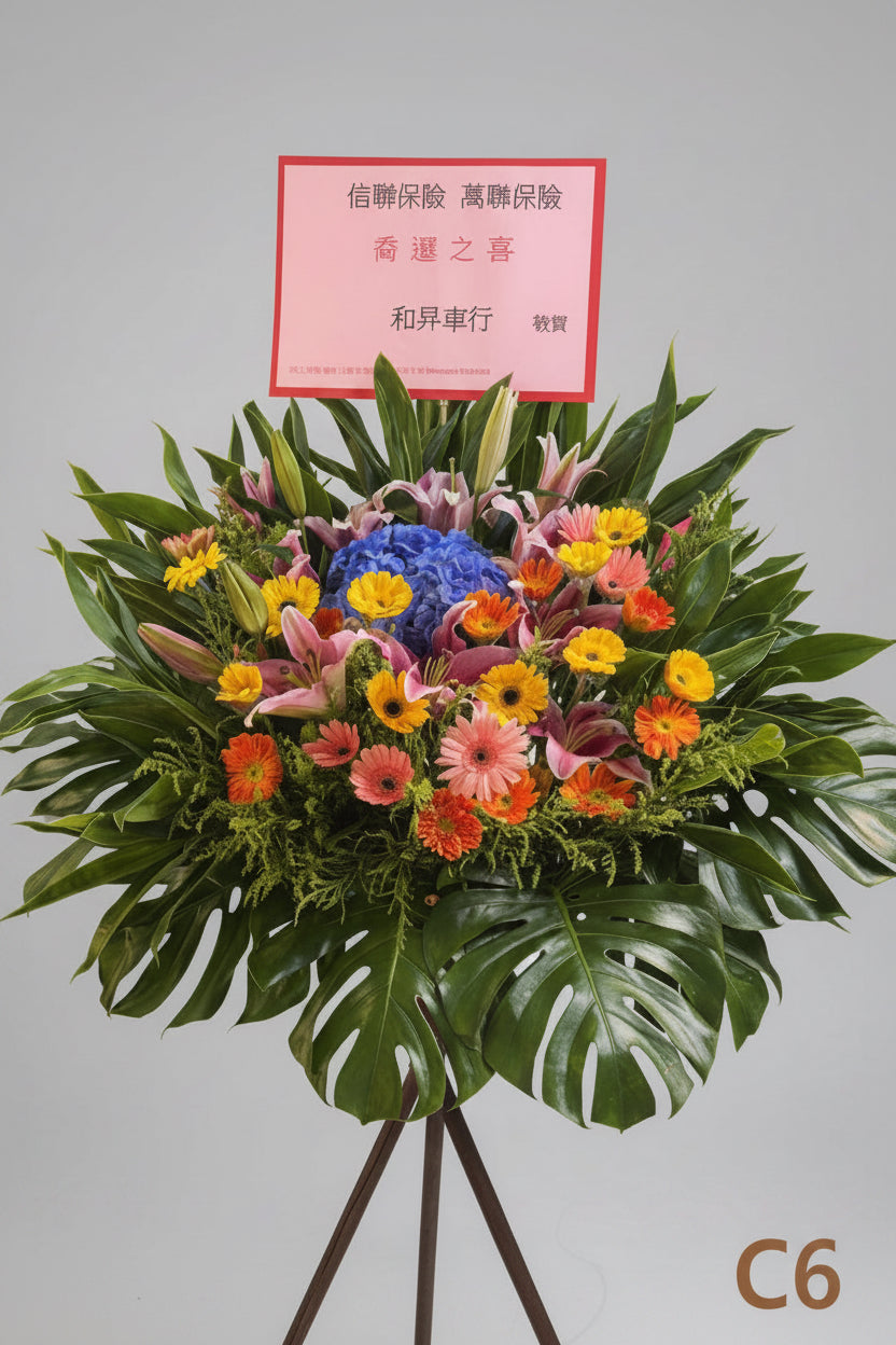開張花籃 C6