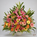 開張花籃 C7