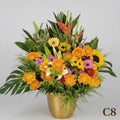 開張花籃 C8
