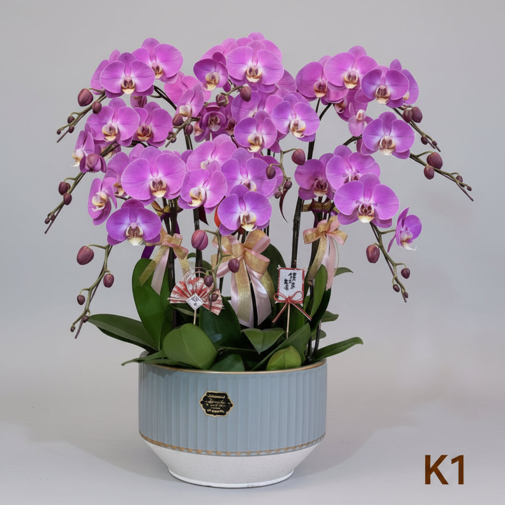 10支粉寶圖 K1